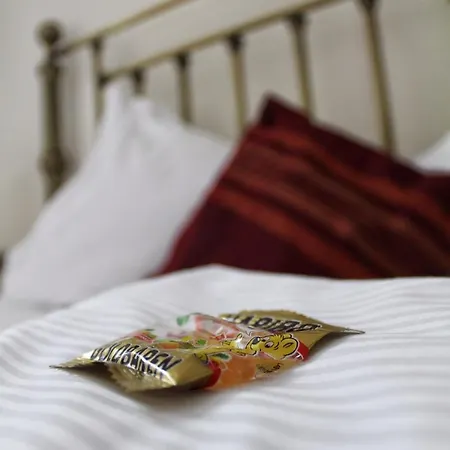 招待所 阿卡兹恩鸿丰酒店 科隆